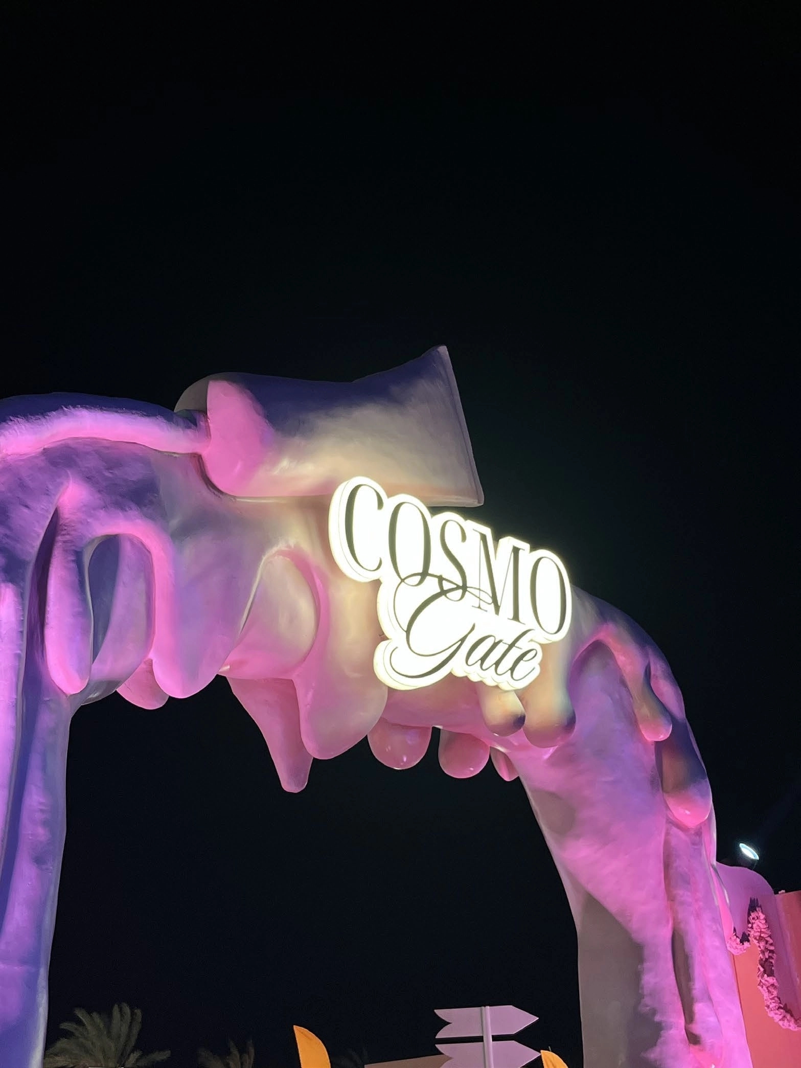 Cosmo Gate - gallery - page-017-image-01.jpg